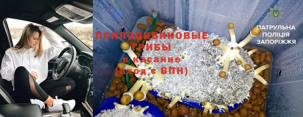 МДПВ Алексеевка