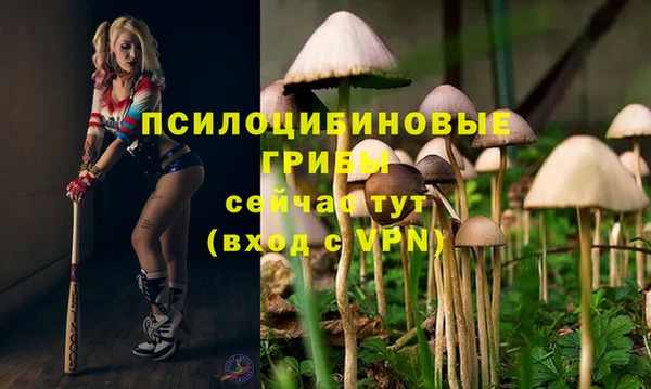 бутират Алексин