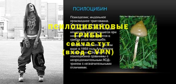 МДПВ Алексеевка