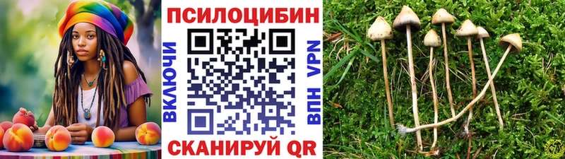 Галлюциногенные грибы мицелий  Харовск 